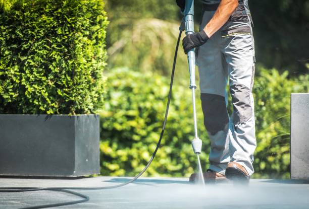 Best Animal Enclosure Cleaning  in Wyldwood, TX